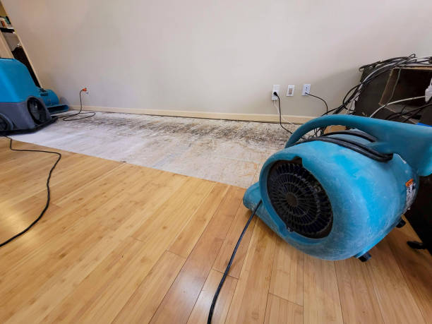 Professional Basement Flood Cleanup technician working in Willis, MI